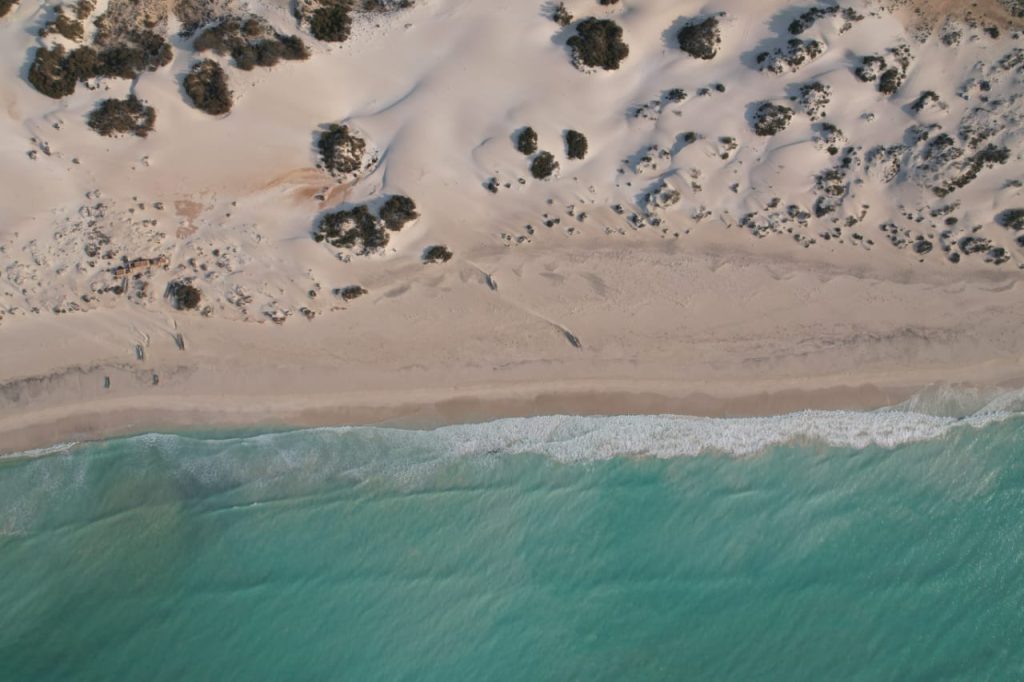 Top-down view of beach dunes meeting turquoise water